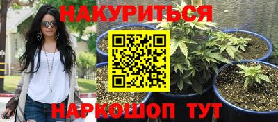 бошки Ярославль