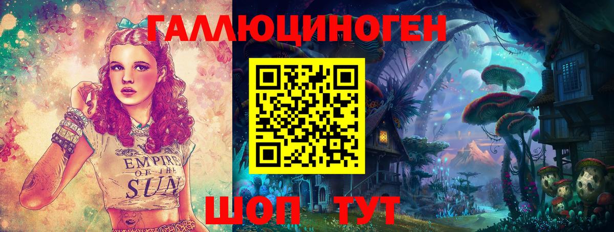Галлюциногенные грибы Psilocybe Благовещенск