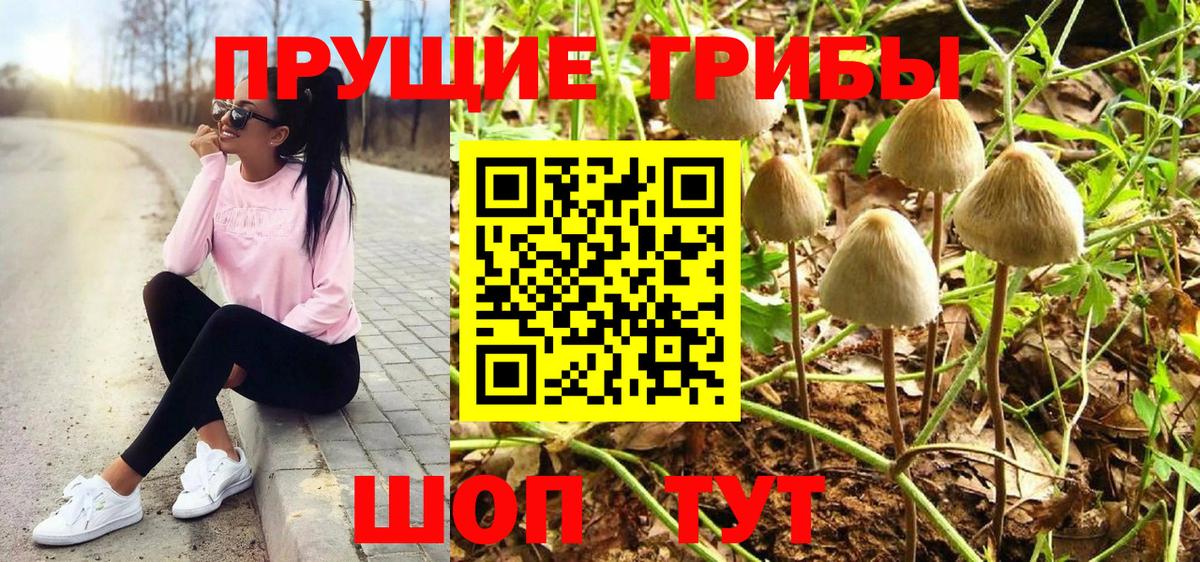 Благовещенск  Псилоцибиновые грибы мухоморы  Вход с VPN 